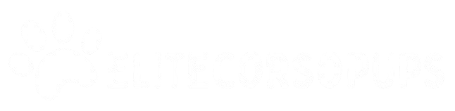 elitecorsopups.com